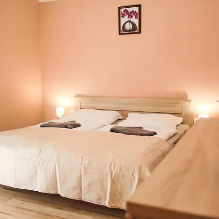 Bakterhaz Vendeghaz ゲストハウス